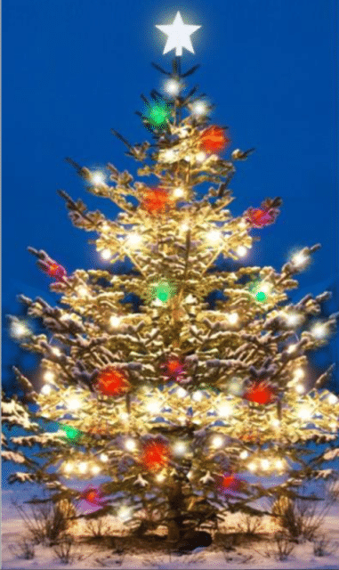 POZVÁNKA: Rozsvícení vánoční stromu v SeniorCentru Šanov